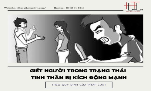 GIẾT NGƯỜI TRONG TRẠNG THÁI TINH THẦN BỊ KÍCH ĐỘNG MẠNH THEO QUY ĐỊNH CỦA PHÁP LUẬT (CÔNG TY LUẬT TẠI QUẬN TÂN BÌNH, BÌNH THẠNH)